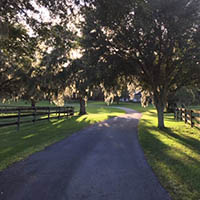 kestrel farm goldens, driveway