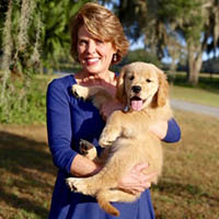 kestrel farm goldens, pam with puppy rhett