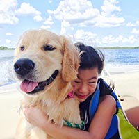 kestrel farm golden retriever, luna, Terrapin's Total Lunar Eclipse CCA